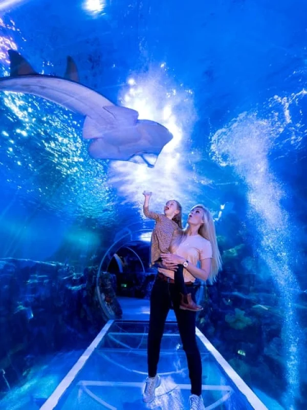 National Sea Life Centre Entrance Ticket